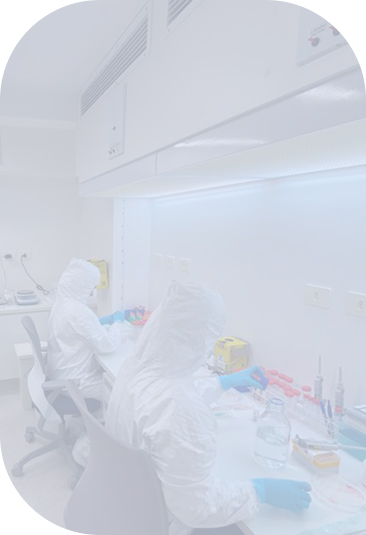 Estrutura StemCorp
