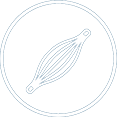 DEGENERAÇÃO MUSCULAR