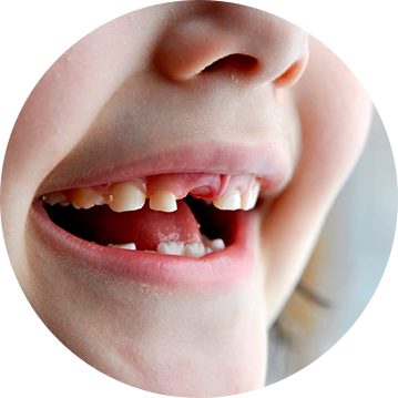 Polpa do Dente Cadastro